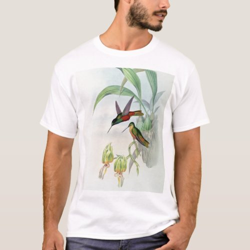 Bonapartes Star Fronted Hummingbird coloured lit T_Shirt