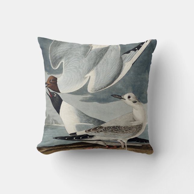 Bonapartian Gull from Birds of America Throw Pillow (Front)