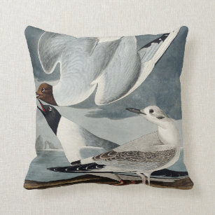 Bonapartian Gull from Birds of America Throw Pillow