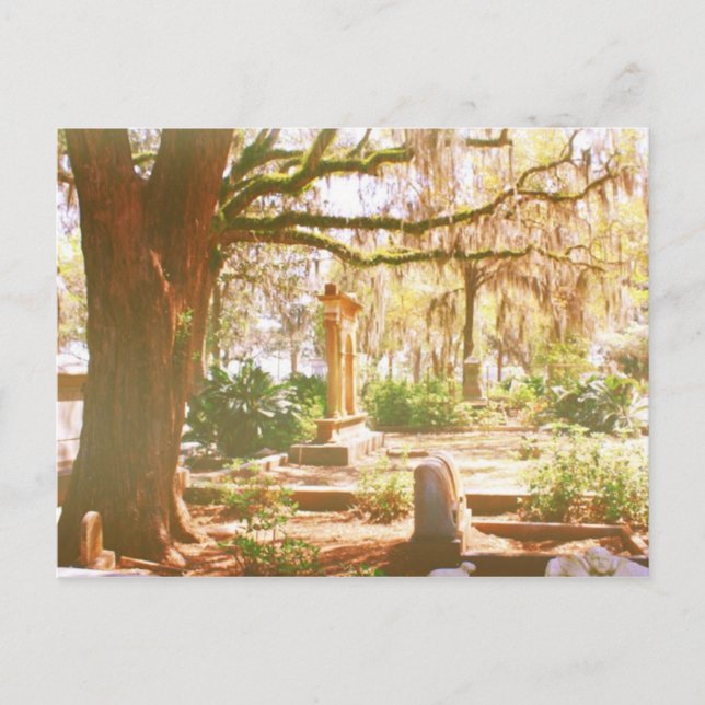 Bonaventure Cemetery Postcard (Front)