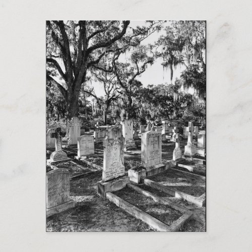 Bonaventure Cemetery Savannah GA Postcard