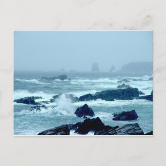 Bonavista Storm Postcard
