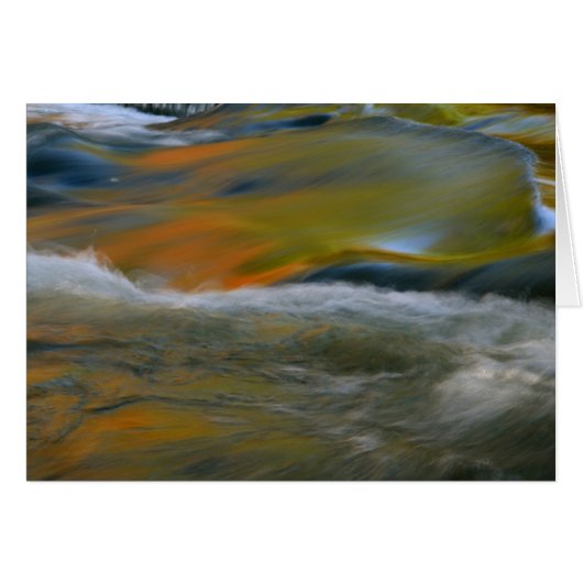 Bond Falls Cards (Front Horizontal)