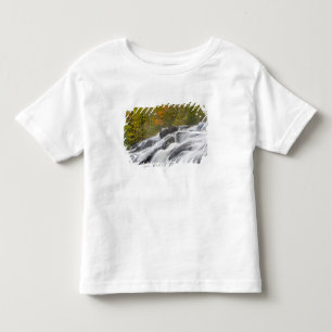 Bond Falls on the Middle Fork of the Ontonagon Toddler T-shirt