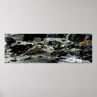 Bond Falls - Upper Peninsula Poster