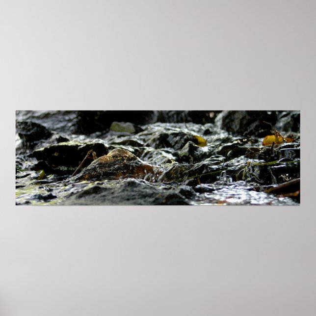 Bond Falls - Upper Peninsula Poster (Front)