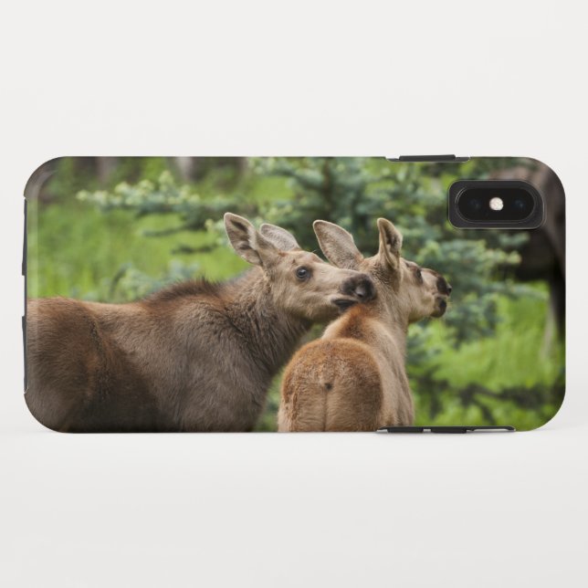 Bonded Moose Calves Case-Mate iPhone Case (Back (Horizontal))