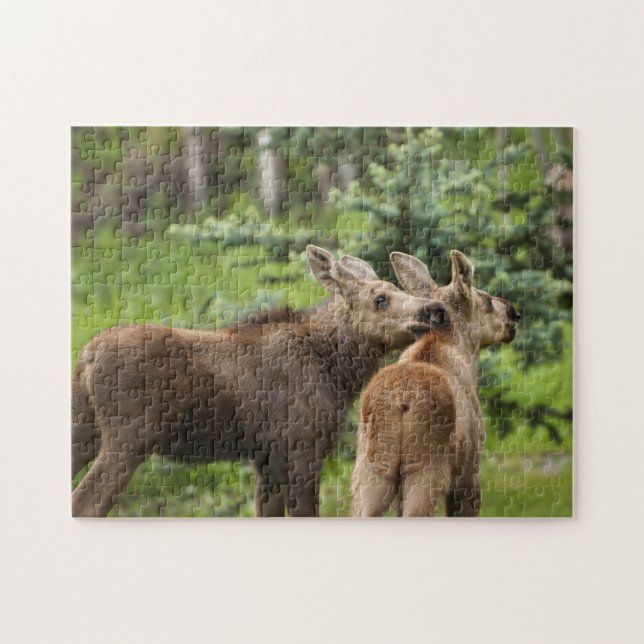 Bonded Moose Calves Jigsaw Puzzle (Horizontal)