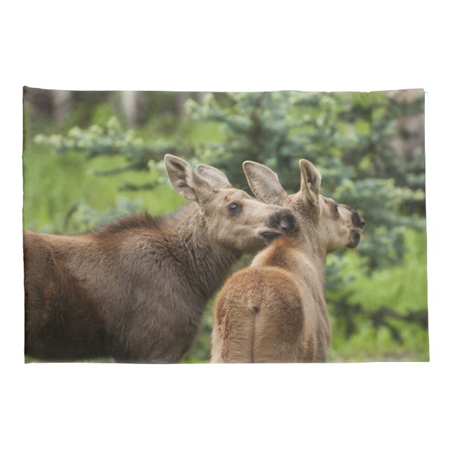 Bonded Moose Calves Pillow Case (Back-Right)