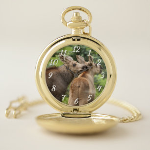 Bonded Moose Calves Pocket Watch