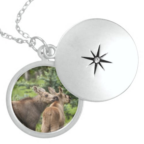 Bonded Moose Calves Sterling Silver Necklace