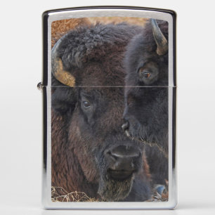 Bonded Pair American Bison Zippo Lighter