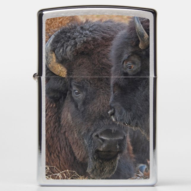 Bonded Pair American Bison Zippo Lighter (Front)
