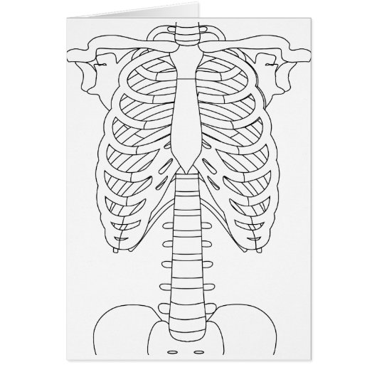 bone_01 cards (Front)