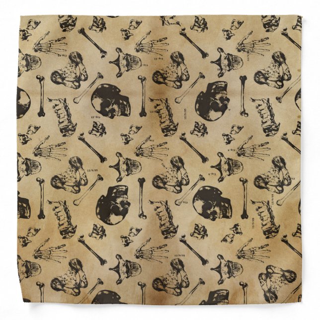 Bone Anatomy Archaeology Bandana (Front)