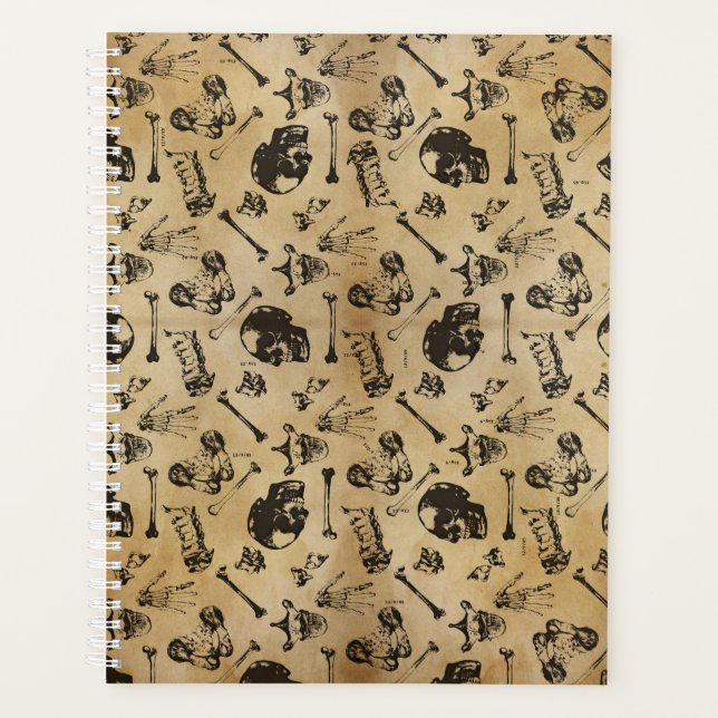 Bone Anatomy Archaeology Planner (Front)
