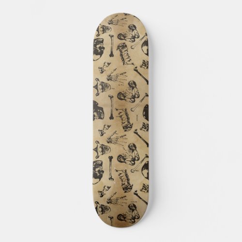 Bone Anatomy Archaeology Skateboard