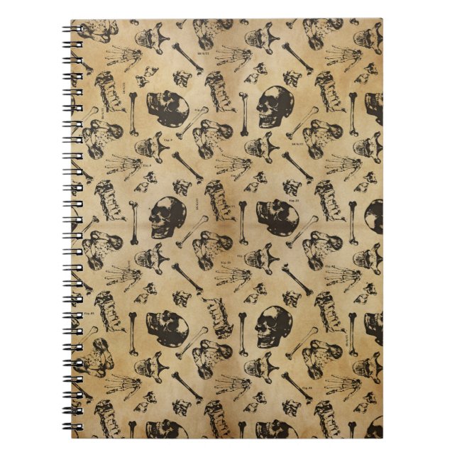 Bone Anatomy Archeology Notebook (Front)