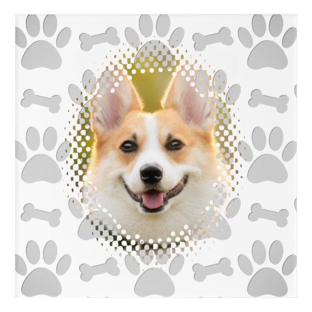 Bone And Paw Print Pattern Dog Frame  Acrylic Print (Front)