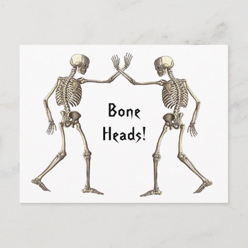 Bone Heads Skeletons Postcard
