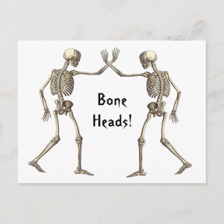 Bone Heads Skeletons Postcard