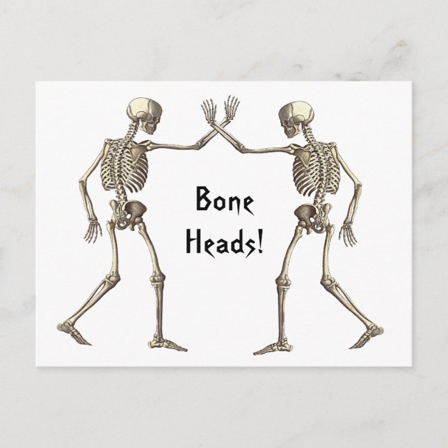 Bone Heads Skeletons Postcard (Front)