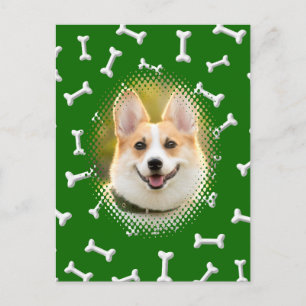 Bone Pattern Dog Frame Print Postcard