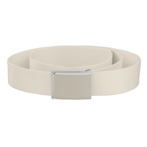 Bone solid color belt