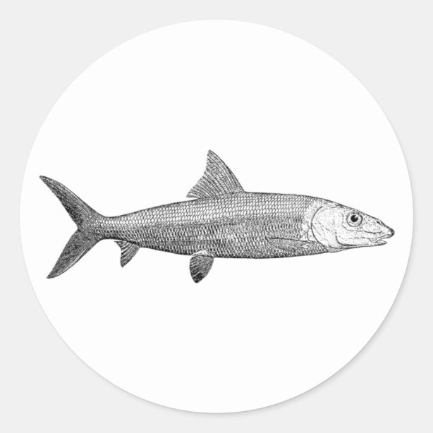 Bonefish Stickers | Zazzle