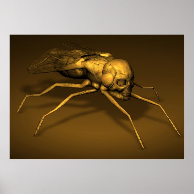 Bonehead Fly Poster (Front)