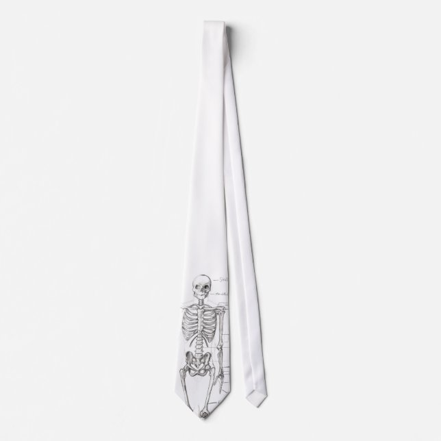 Bones... Neck Tie (Front)
