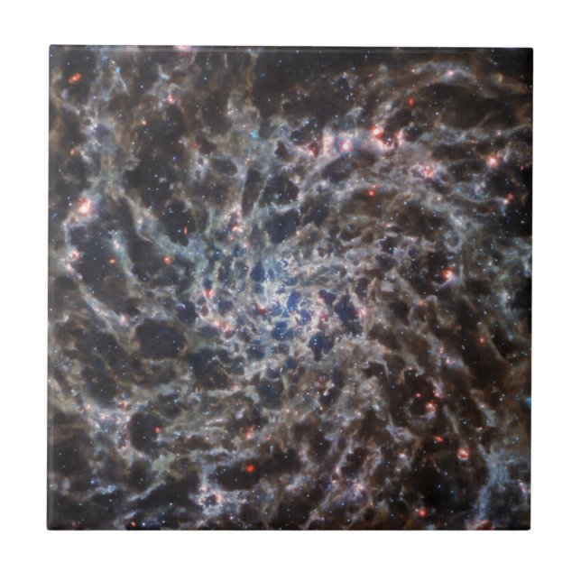 Bones of Galaxy IC5332 from JWST Ceramic Tile (Front)