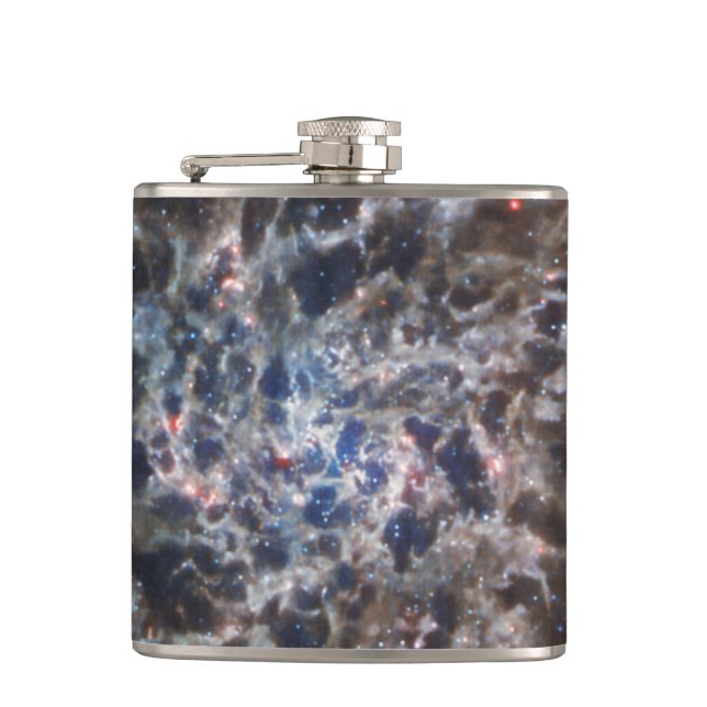 Bones of Galaxy IC5332 from JWST Flask (Front)