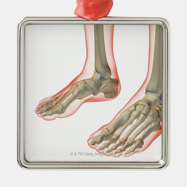 Bones of the Feet Metal Ornament (Front)