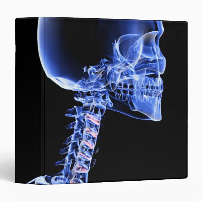 Bones of the Head and Neck 3 Ring Binder (Front/Spine)