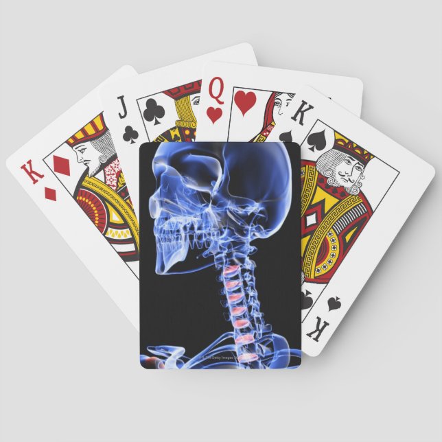 Bones of the Head and Neck 7 Poker Cards (Back)