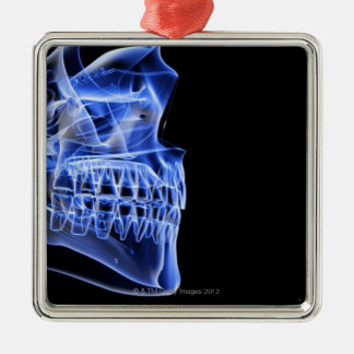 Bones of the Jaw Metal Ornament