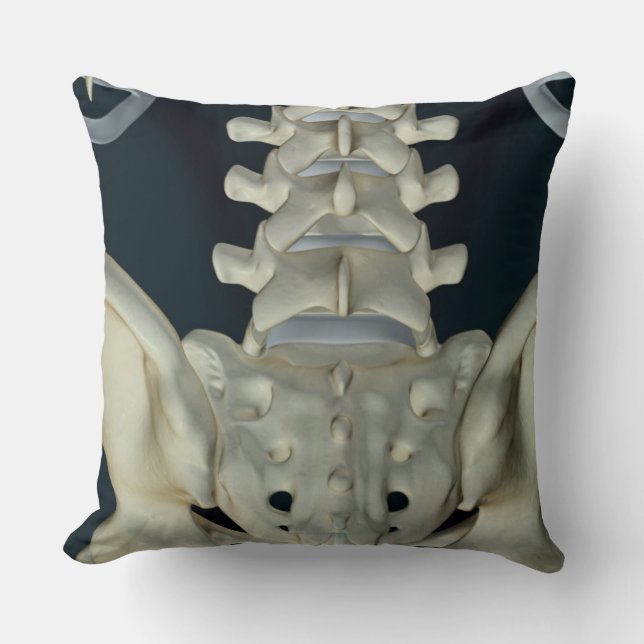 Bones of the Lower Back Throw Pillow (Front)