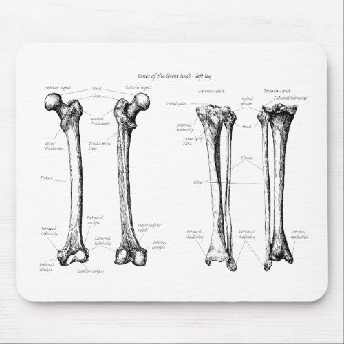 Bones of the Lower Limbs Mouse Pad