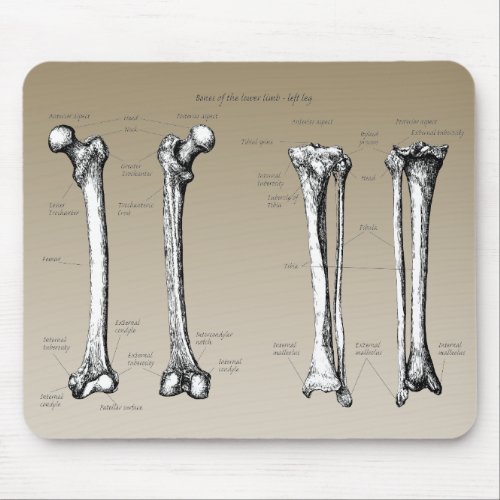 Bones of the lower limbs mouse pad