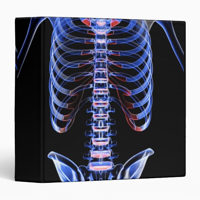 Bones of the Trunk 2 Binder (Front/Spine)
