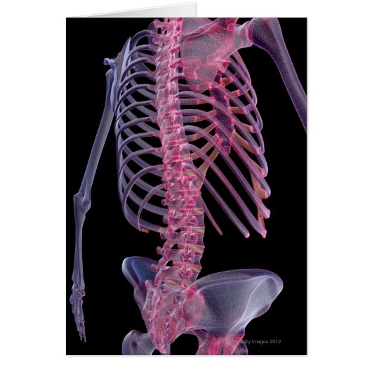 Bones of the Trunk Cards (Front)