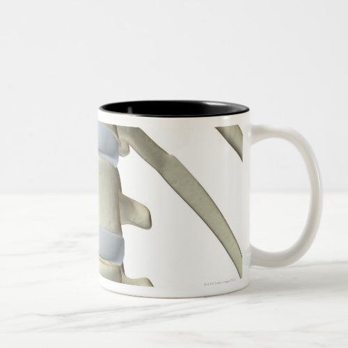 Bones of the Vertebral Column Two_Tone Coffee Mug