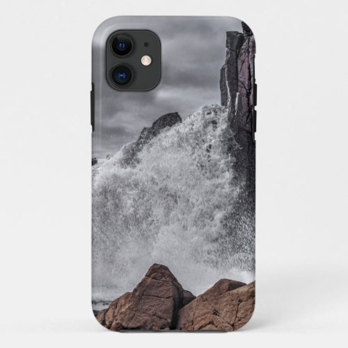 Boneyard Splash iPhone 11 Case