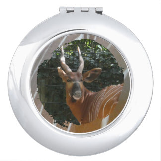 Bongo Antelope & Skin Border Compact Mirror