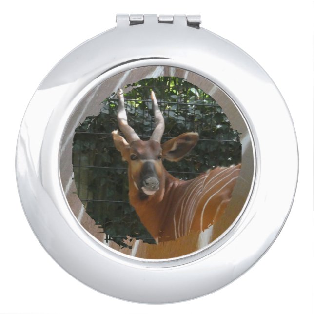 Bongo Antelope & Skin Border Compact Mirror (Front)