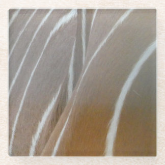 Bongo Antelope Skin Pattern Glass Coaster