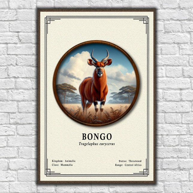 Bongo Zoology Series Poster (Creator Uploaded)