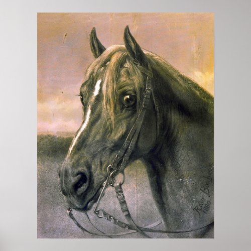 Bonheur _ Head Of A Horse Poster