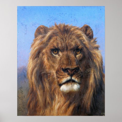 Bonheur _ Portrait Of A Lion Poster